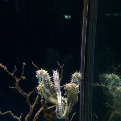 IMG 043